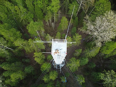 Проекты учёных ЮГУ получили поддержку РНФ