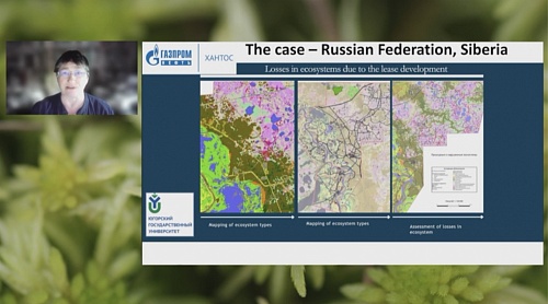Доцент Высшей экологической школы ЮГУ Татьяна Минаева приняла участие в 26-й конференции сторон Рамочной конвенции ООН об изменении климата United Nations Climate Change Conference (COP26)