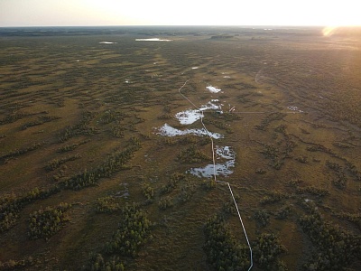 Проект учёных ЮГУ выиграл грант Президентского фонда природы 